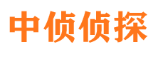 云和寻人公司